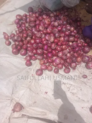 Onion Bags