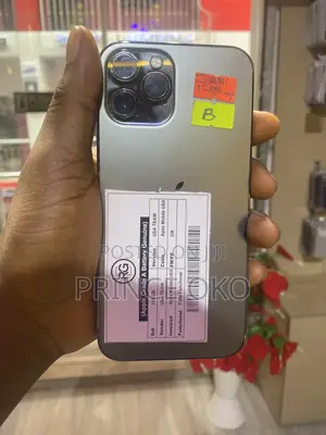 Apple iPhone 12 Pro Max 256 GB