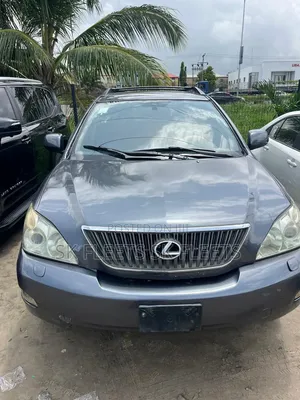 Lexus RX 2005 Gray