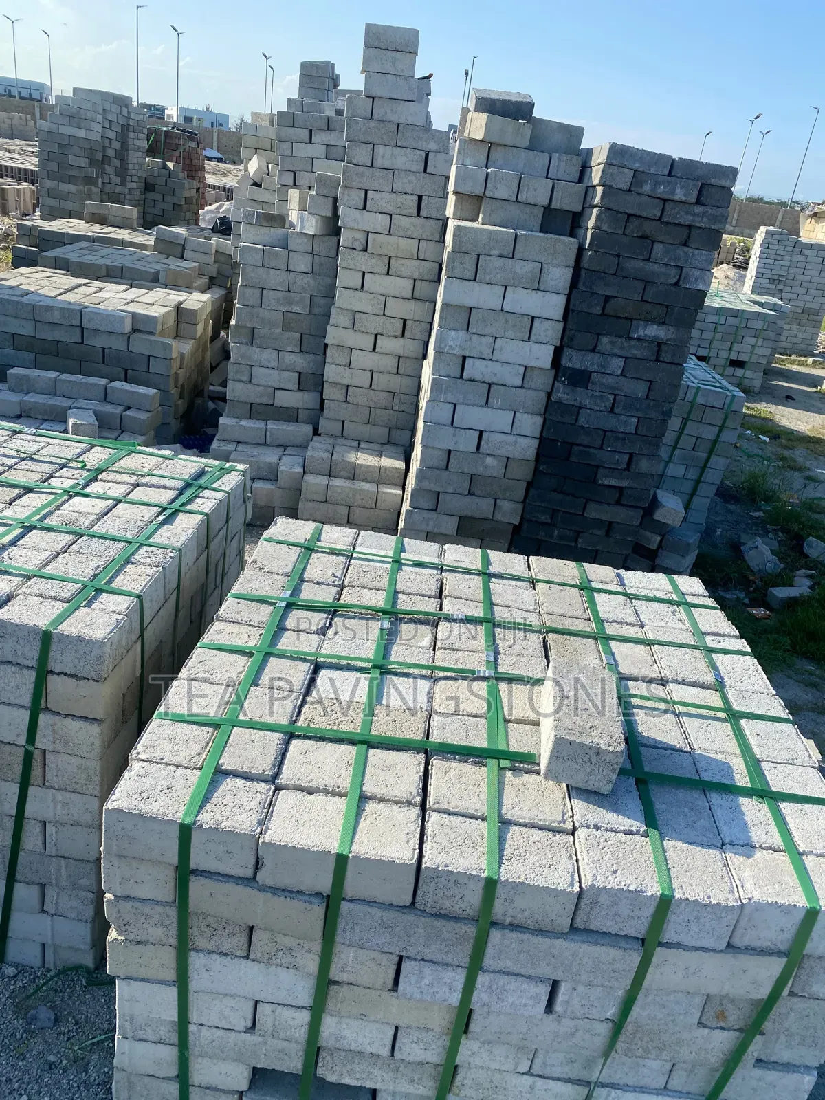 Size 6 Paving Stone/ Interlocks