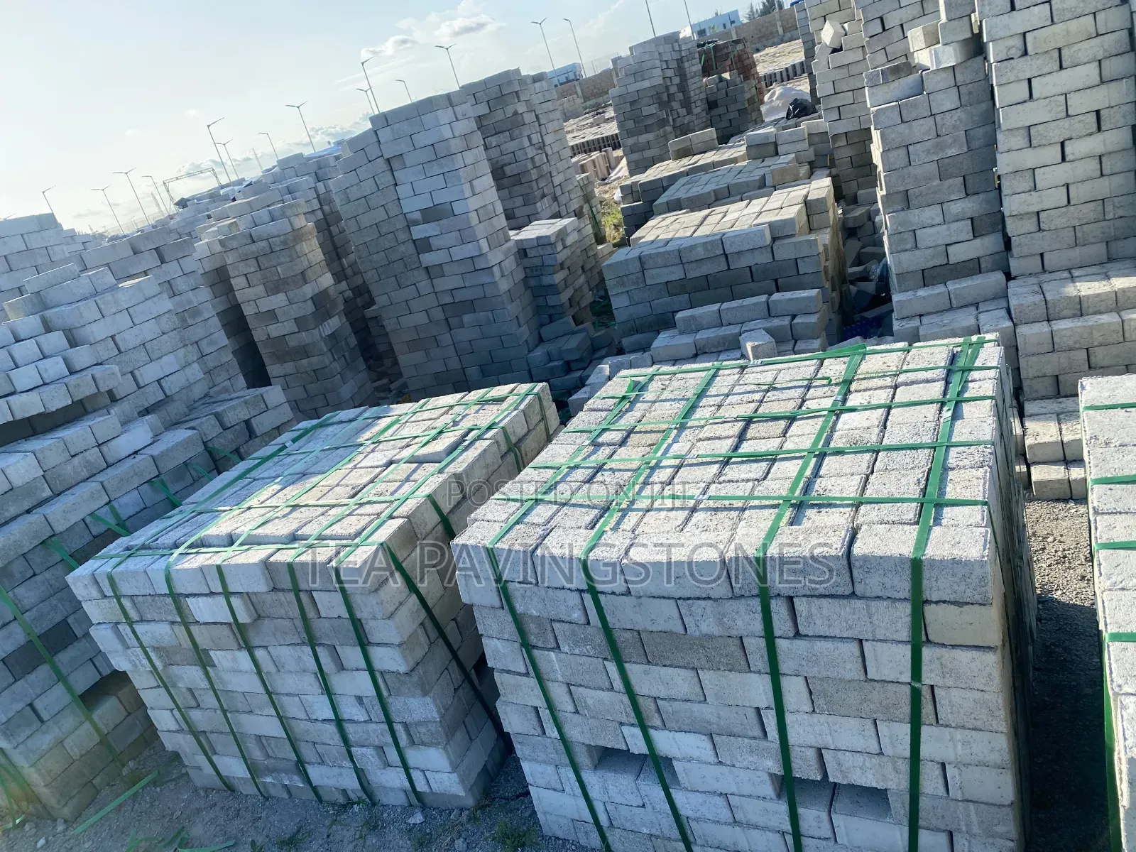 Size 6 Paving Stone/ Interlocks