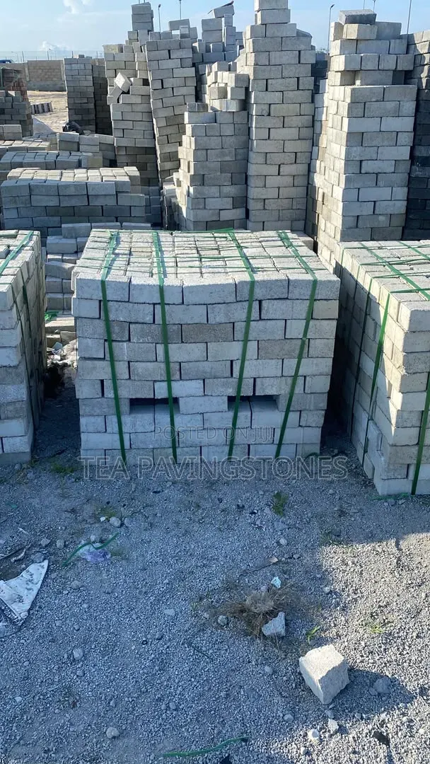 Size 6 Paving Stone/ Interlocks