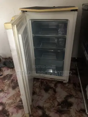 Neatly Used Freezer
