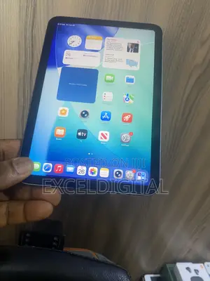 Apple iPad mini 6 256 GB Gray