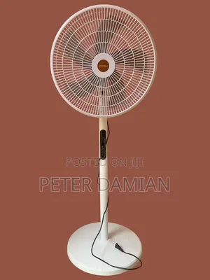 Remote Control Standing Fan