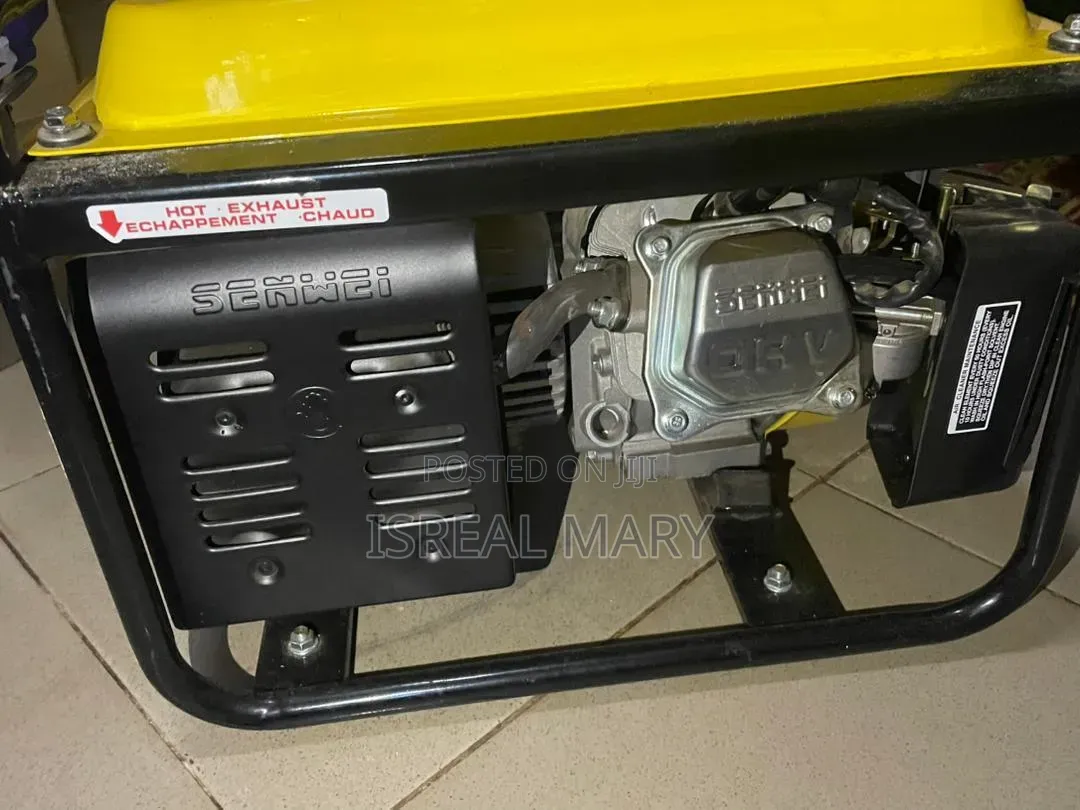 Generator Senw