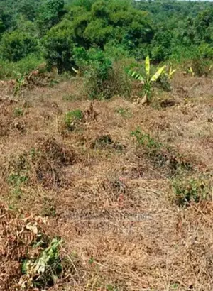 10 Plots of Land for Sale at Kogun Area Ikere Ekiti