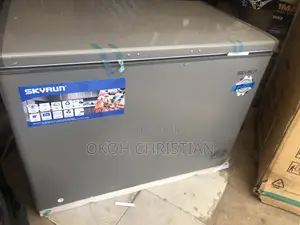 Skyrun 300liters Inverter Chest Freezer
