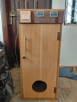 120 Capacity Eggs, Local Fabricated Incubator