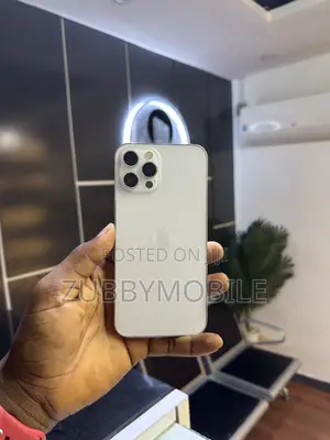 Apple iPhone 12 Pro Max 256 GB White