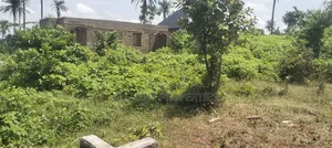 A Plot of Land Behind Peace Estate at Ojaja Area Abere Osun State