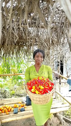 Fresh Farm Pepper