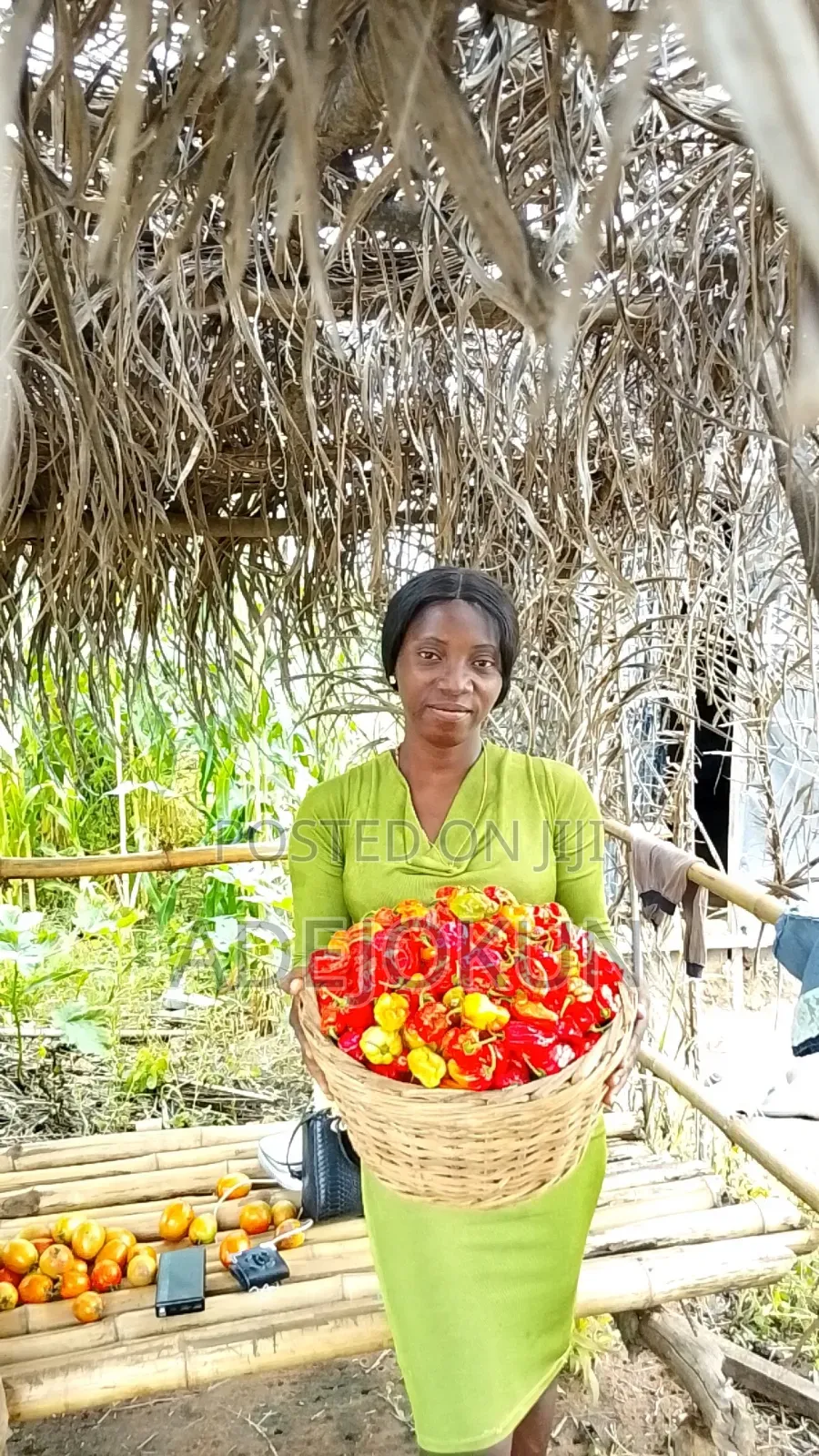 Fresh Farm Pepper