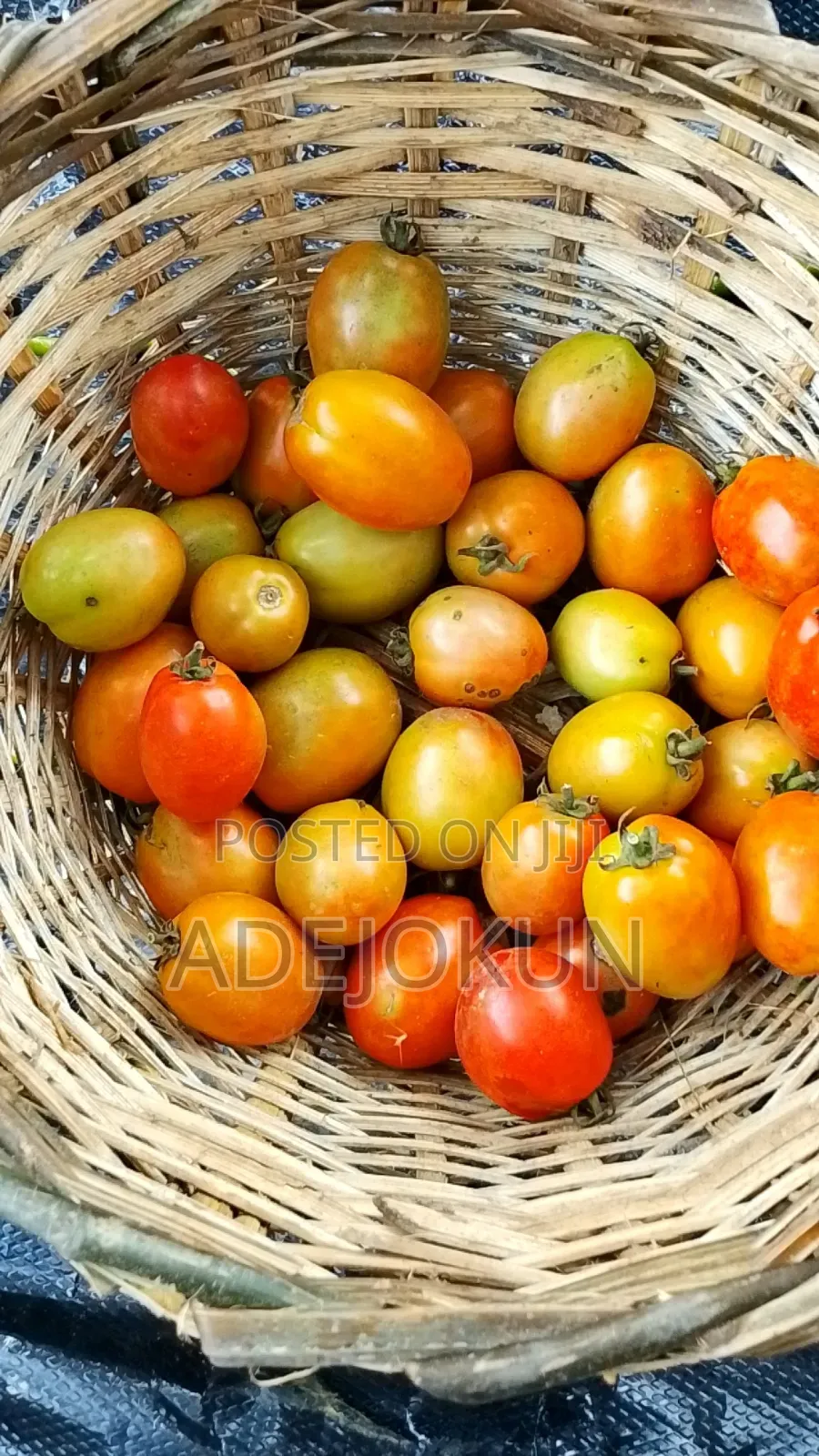 Fresh Farm Pepper