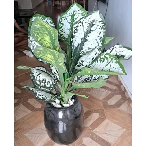 100cm Realistic Aglaonema Artificial Plants