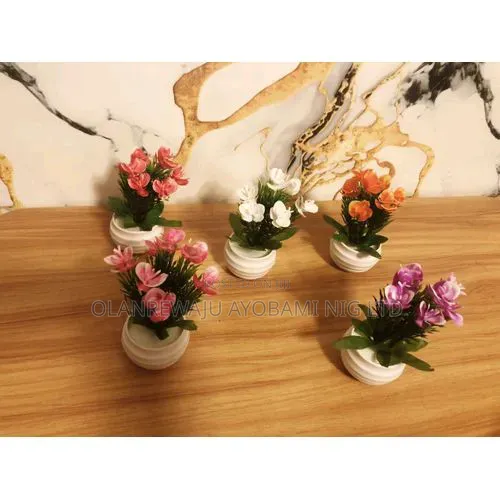 Mini Home Deco Plants With Pots