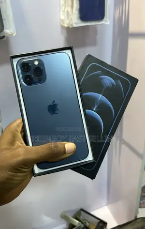 Apple iPhone 12 Pro Max 256 GB Blue