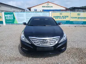 Hyundai Sonata 2010 Black