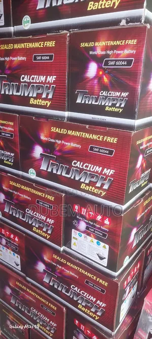 100ah Triumph Battery