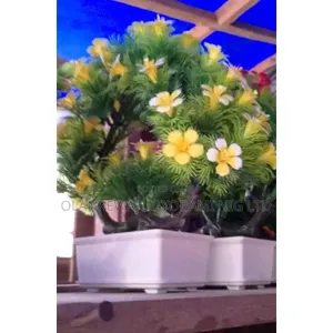 Artificial Potted Flower, Room Decorative Flowers