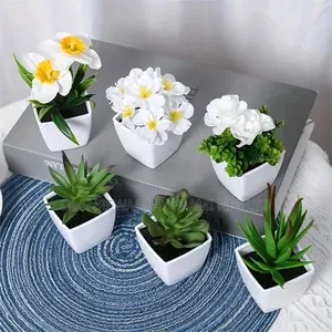 Sheb Sheb Set of 6mini Potted Plant