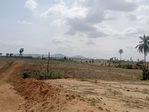 Kingsville Estate, Kurudu.