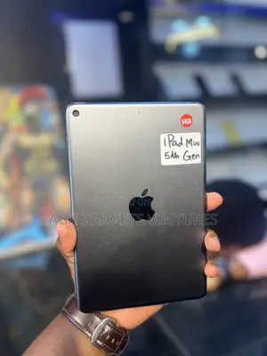 Apple iPad mini 5 64 GB Gray