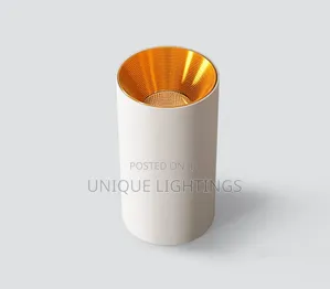 In Gold White Body Surface Spot Light