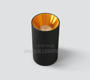 In Gold Black Body Surface Spot Light