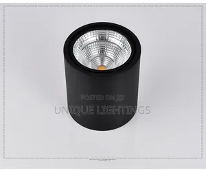 In Silver Black Body Surface Spot Light