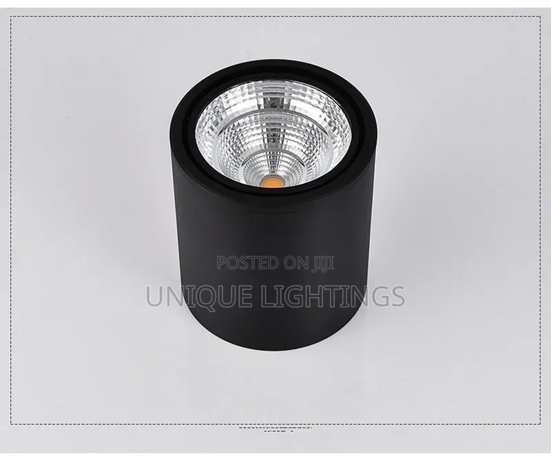 In Silver Black Body Surface Spot Light