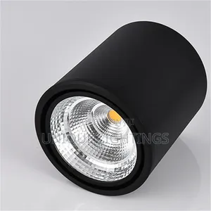 In Silver Black Body Surface Spot Light