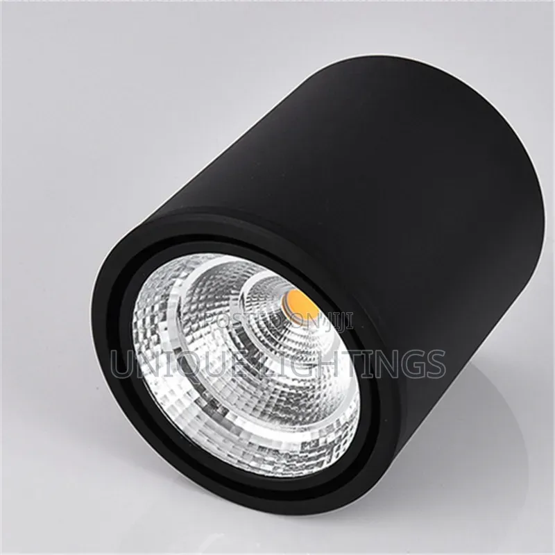 In Silver Black Body Surface Spot Light