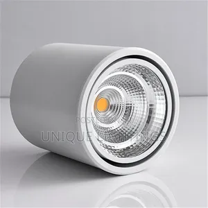 In Silver White Body Surface Spot Light