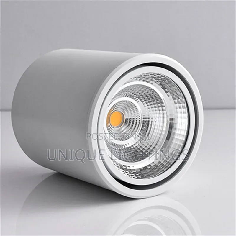 In Silver White Body Surface Spot Light