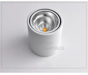 In Silver White Body Surface Spot Light