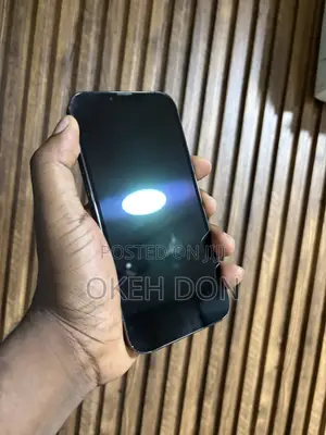 Apple iPhone 13 Pro Max 128 GB Gray