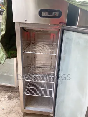 Standing Freezer
