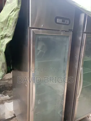 Standing Freezer