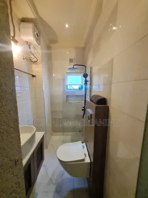 Professional Cleaning Service