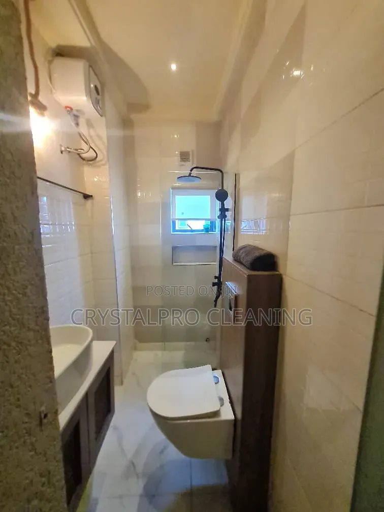 Professional Cleaning Service