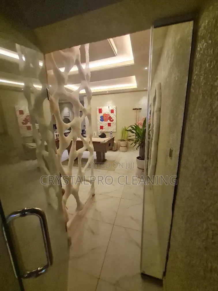 Professional Cleaning Service