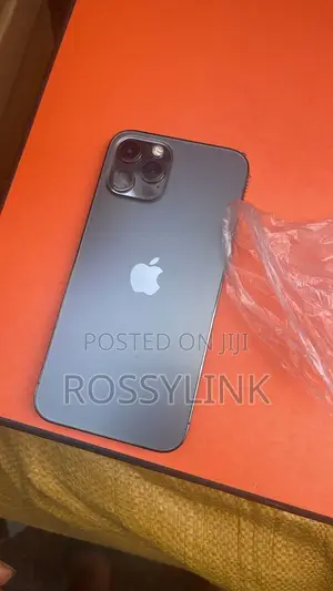 Apple iPhone 12 Pro Max 256 GB Gray
