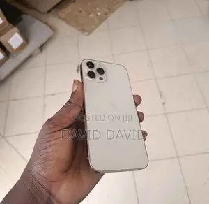 Apple iPhone 12 Pro Max 256 GB