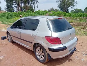 Peugeot 307 2005 Silver