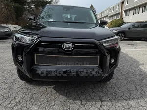 Toyota 4-Runner 2024 Gray