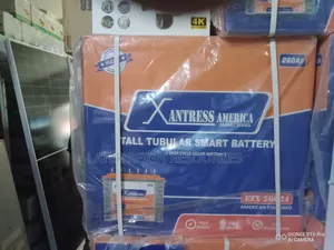 Xantress America Tall Tubular Smart Battery