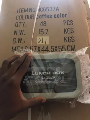 Double Partition Lunch Box With Spoon Fork