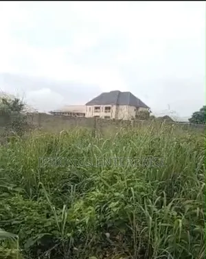New Timber Ihieke Umuahia Abia State