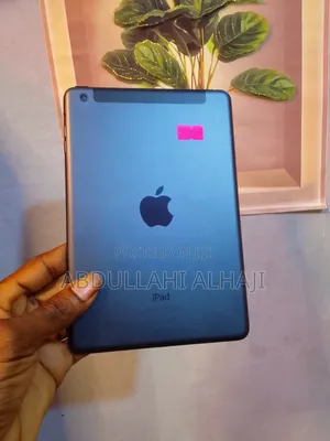 Apple iPad mini 5 64 GB Gray